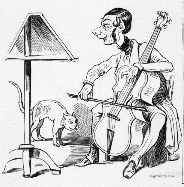 Les arts sont un remède aux maux du cœur, l’âme de M. Verdreau trouve un écho dans celle de son instrument, qui fait pâmer d’aise son chat Nick.