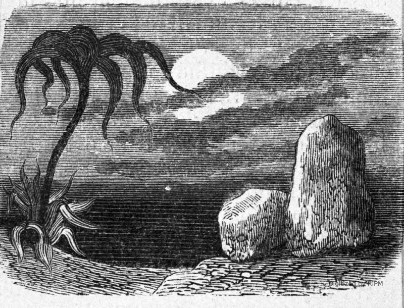 [Opéra-Comique. — <em>Manon Lescaut</em>.] Le dernier tableau. — Le théâtre représente le sein d’un désert. À droite, un rocher ;  à gauche, un simple.