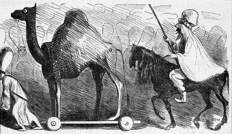 [Opéra — <em>Le Corsaire</em>.] La Caravane du corsaire. Item : Un chameau à roulettes, un Arabe et son coursier, ces trois objets proprement empaillés.