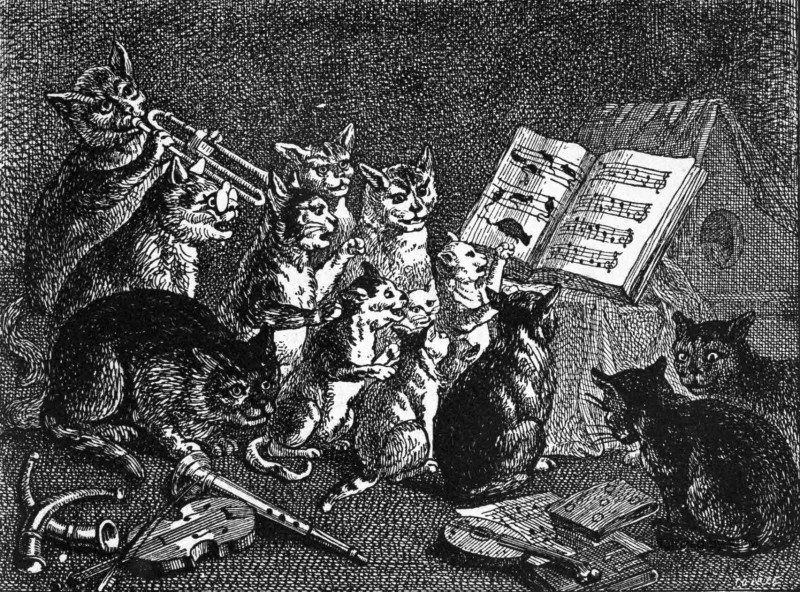 Le concert des chats. — D’après P. Breughel.