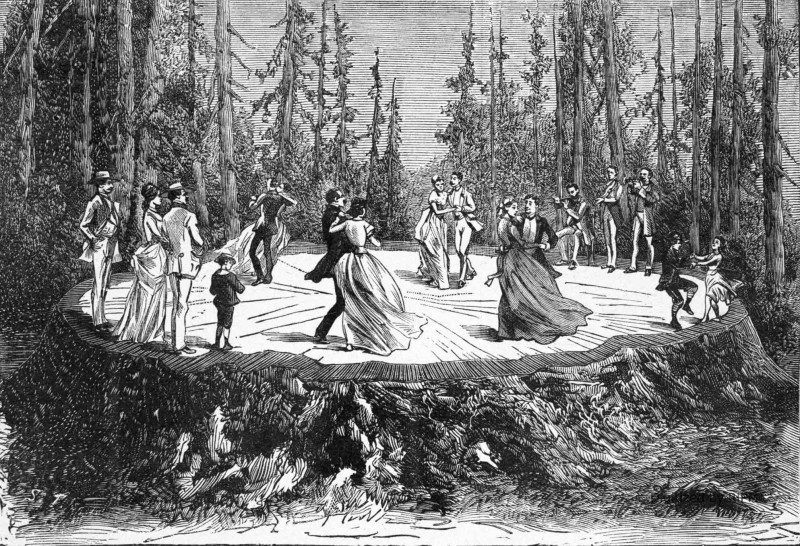 Bal donné sur le tronc d’un « séquoia gigantea », de Calaveras Grove. [Gravure extraite de Six Mois aux États-Unis, par M. Albert Tissandier. — G. Masson, éditeur.]
